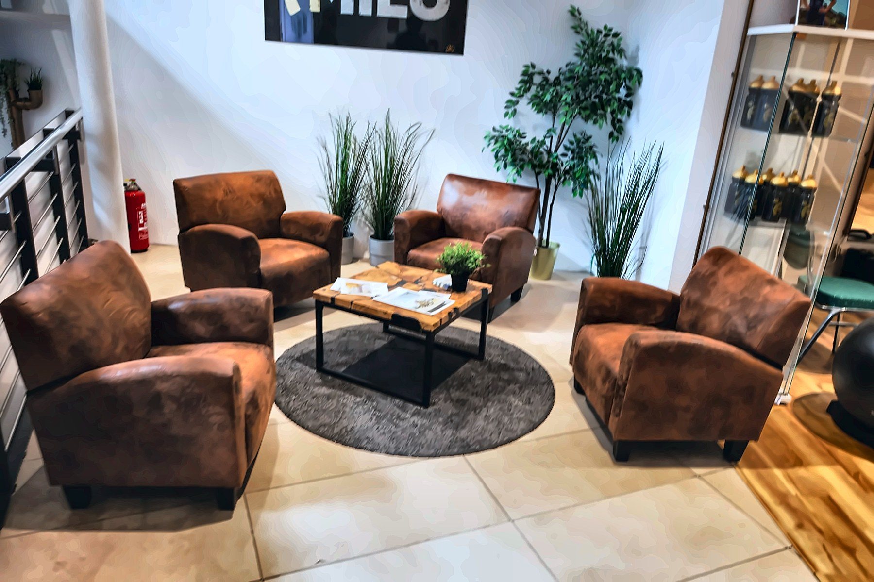 Gemütliche Lounge mit Ledersesseln und Pflanzen im AMILU FITNESS Oberursel